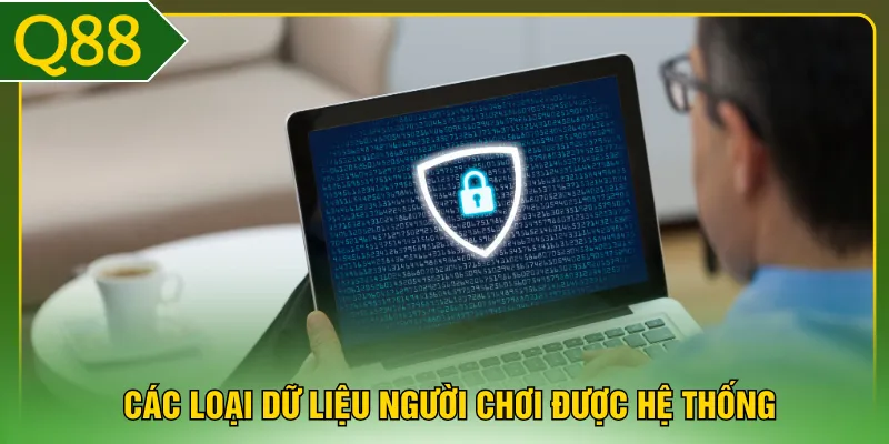 Các loại dữ liệu người chơi được hệ thống